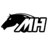 Metal Horse